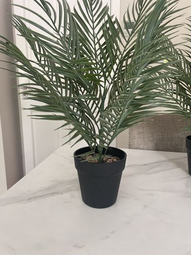 Artificial Plants