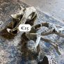 Fish Keeping aquarium decor / accessories Image 7