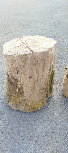 Tree Stumps