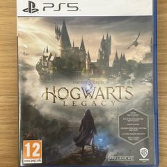 Hogwarts Legacy PS5
