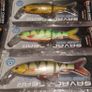 Savage Gear 3D Roach Lipster 13.5cm & 18cm Image 3