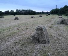 Small square bales hay and round hay for sale