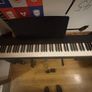 Yamaha P-225B 2025 Model Image 4
