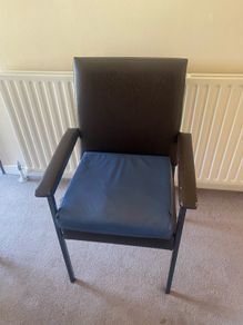 Orthopedic Chair and Cushion