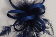 Beautiful Hair Clip Blue