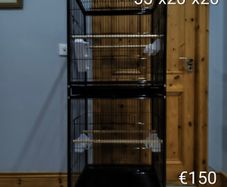 Large bird cage
