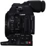 Canon C100 Image 2