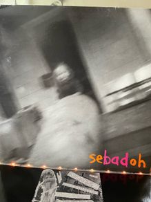 Sebadoh - Rocking The Forest