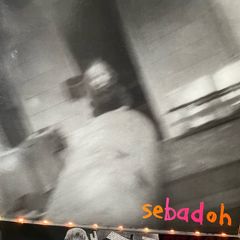 Sebadoh - Rocking The Forest
