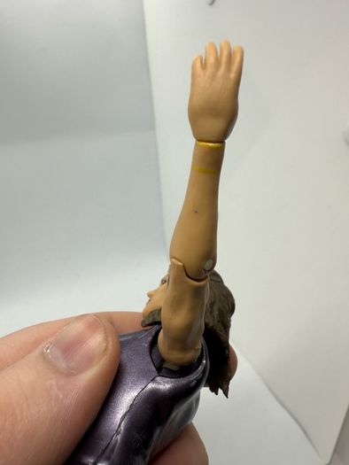 wwe Stephanie McMahon action figure