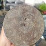 95mm two artillery shell case Image 2