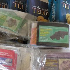 The Wonderful World of Teddy Bears
