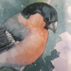 Pair 1990 Wim F Bijkerk Framed Bird Prints Signed Roy Edwards Fine Art IP43