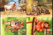 1998 Ireland Endangered Animals (Cheetah, Oryx, Tamarin &amp; Tiger) Stamps Maximum Cards First Day of Issue Cancel with matching stamp.