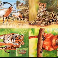 1998 Ireland Endangered Animals (Cheetah, Oryx, Tamarin & Tiger) Stamps Maximum Cards First Day of Issue Cancel with matching stamp.