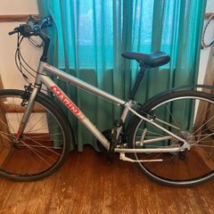 Hybrid Bike