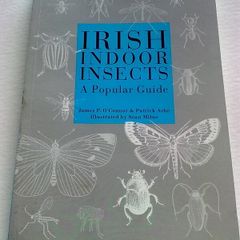 Irish indoor insects
