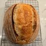 Dehydrated Sourdough Starter Image 2