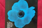 BBG - Some Kind Of Heaven Remix 12 inch vinyl house