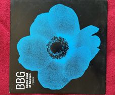 BBG - Some Kind Of Heaven Remix 12 inch vinyl house