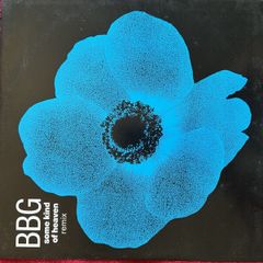 BBG - Some Kind Of Heaven Remix 12 inch vinyl house
