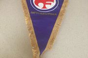 Fiorentina football club pennant