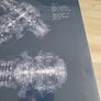 Free LSD vinyl Image 4