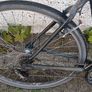 Bike Giant Expression Image 3