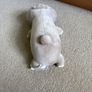 Weighted sloth teddy like huggalump Image 4