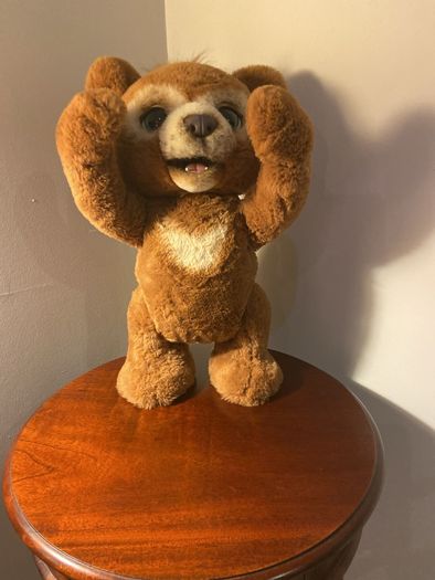 Teddy Bear Cubby the Curious bear