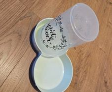 pet feeding bowl