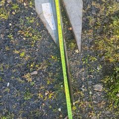 boat anchor 8kg