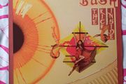 Kate Bush The Kick Inside Vinyl