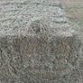 Large square bales of hay for sale Image 2