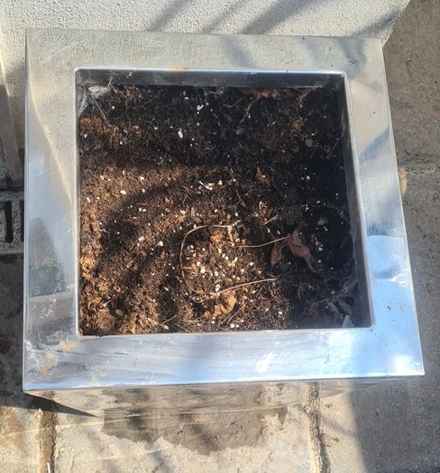 Plant Pot