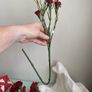 BNWT 3 long stems of artificial Carnations Image 3