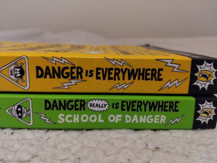Danger Is Everywhere Books By Noel Zone