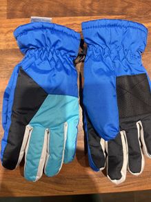 ski gloves