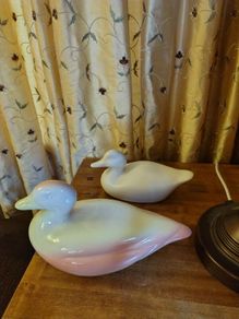 Ceramic Ducks
