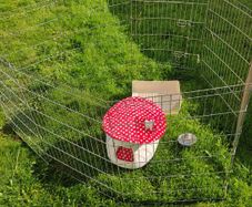 Rabbit Items