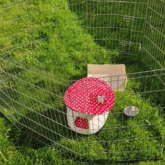 Rabbit Items