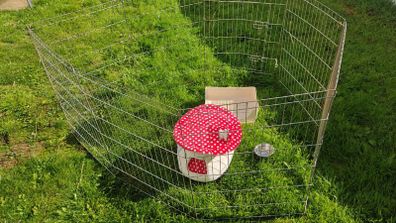 Rabbit Items