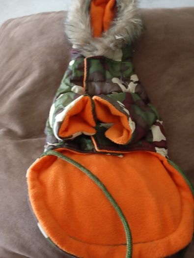 dog coat