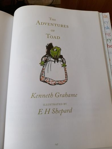 The Childhood Collection large hardback book