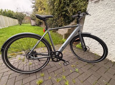 Electric Bike (Tenways)