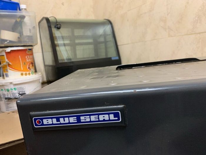 Salmander Grill Gas