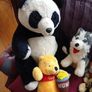 Teddys, soft toys, Teddy Bears. Image 2