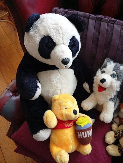 Teddys, soft toys, Teddy Bears.
