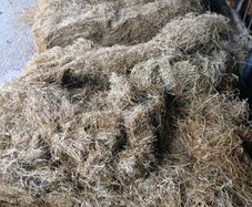 Silage