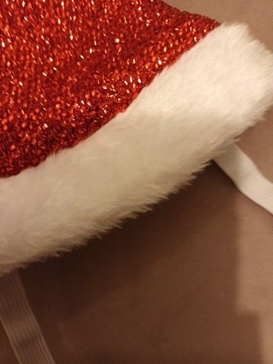 Festive pet hat